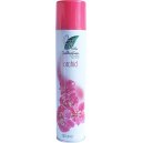 Cool Air Odświeżacz powietrza w sprayu Orchid 300ml