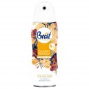 Brait odświeżacz powietrza Golden Amber 300ml